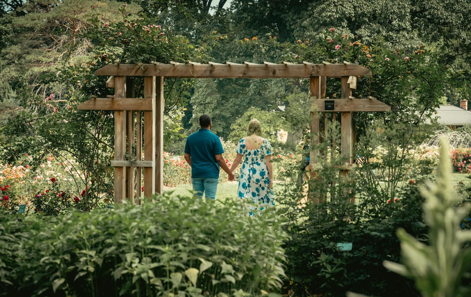 Engagement couple walking hand-in-hand through the white wooden arbor at the Frederick N. Evans Memorial Rose Garden in McKinley Park, Sacramento, during peak rose bloom